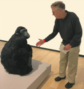 Image showing a grey-haired white man greeting a chimpanzee with an outstretched hand